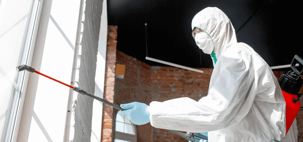 Reason for Hiring mold Removal Specialist Reason for Hiring mold Removal Specialist