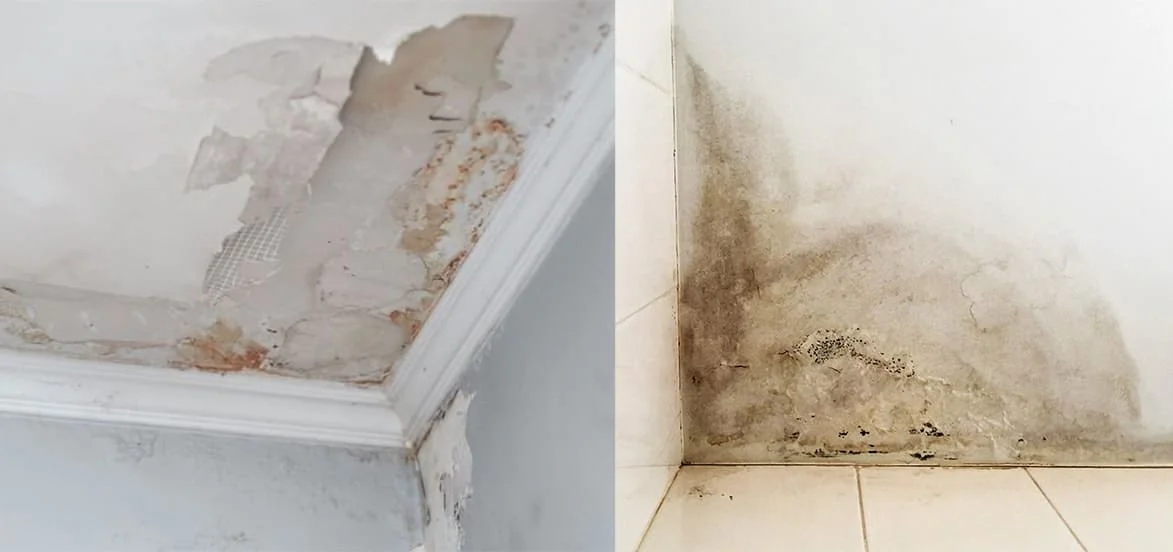 Causes of Water Damage Causes of Water Damage