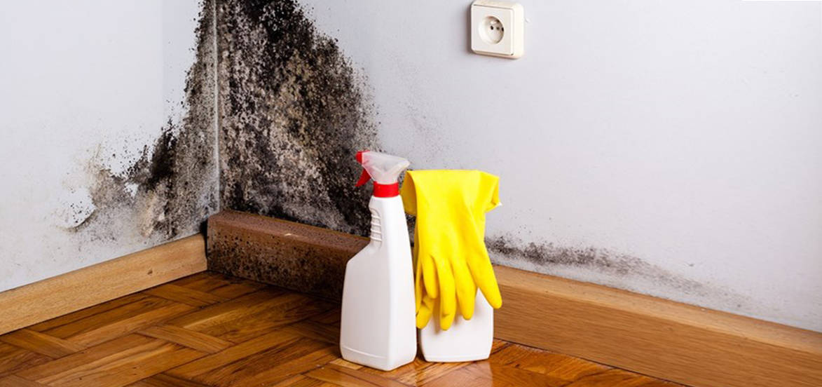 How to Remove Mold from Walls