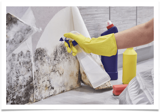 Types Of Mold Hanpering Structural Integrity