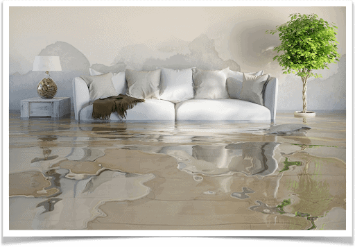 Why Do People Care So Much About Water Damage?