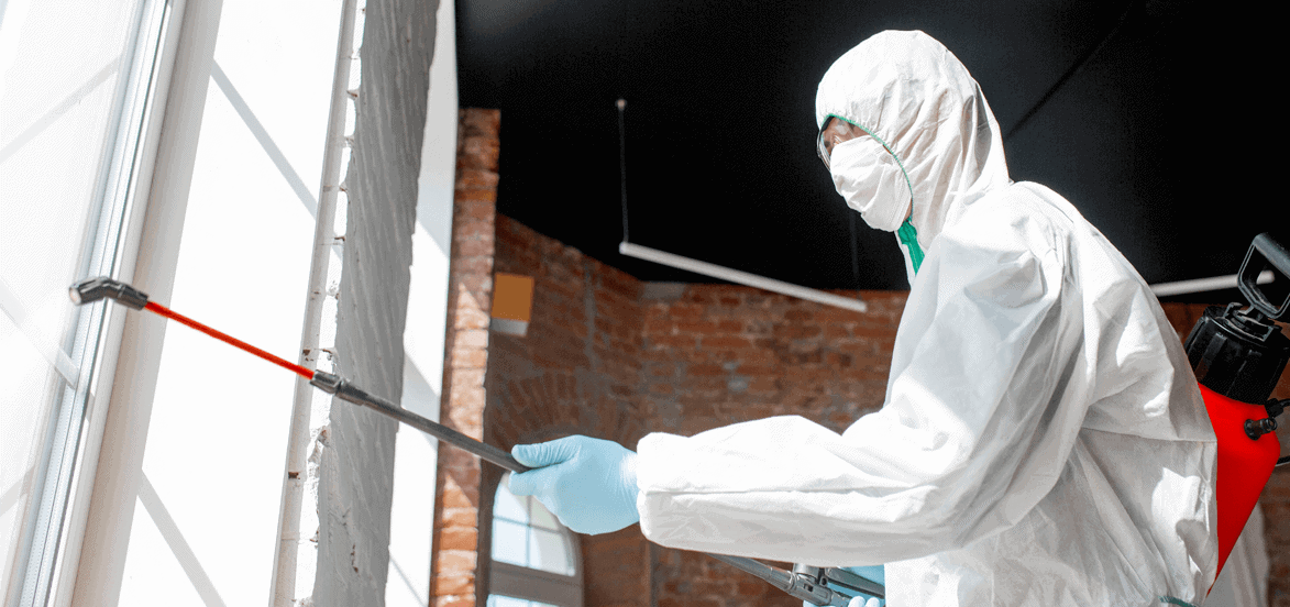 Reason for Hiring mold Removal Specialist