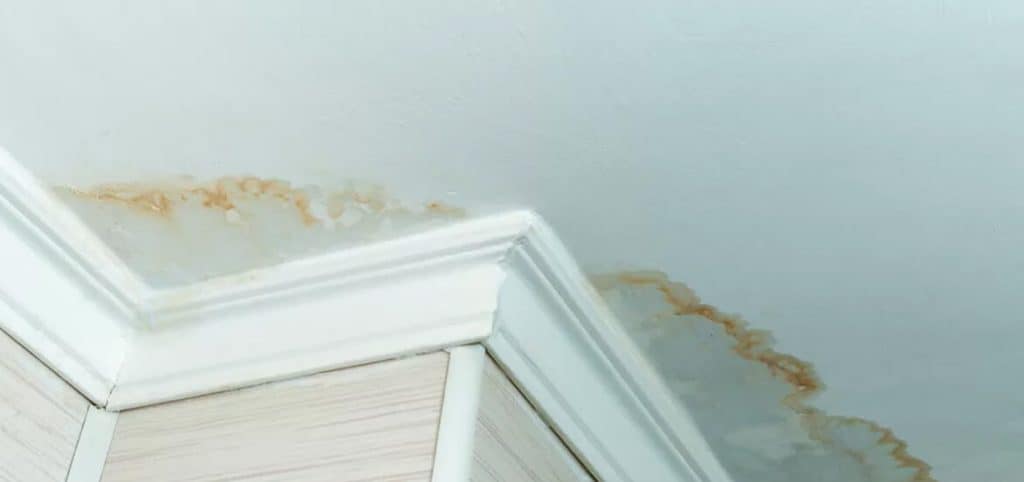 Why Minor Water Damage Restoration Needs Action Right Away?