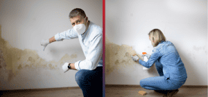 Effective Mold Removal Methods for Painted Walls: DIY vs. Professional.